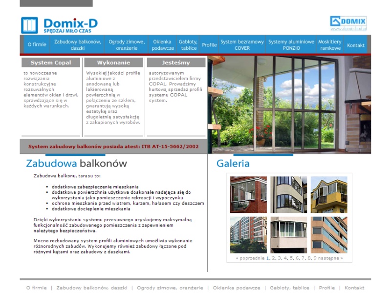 Image Caption